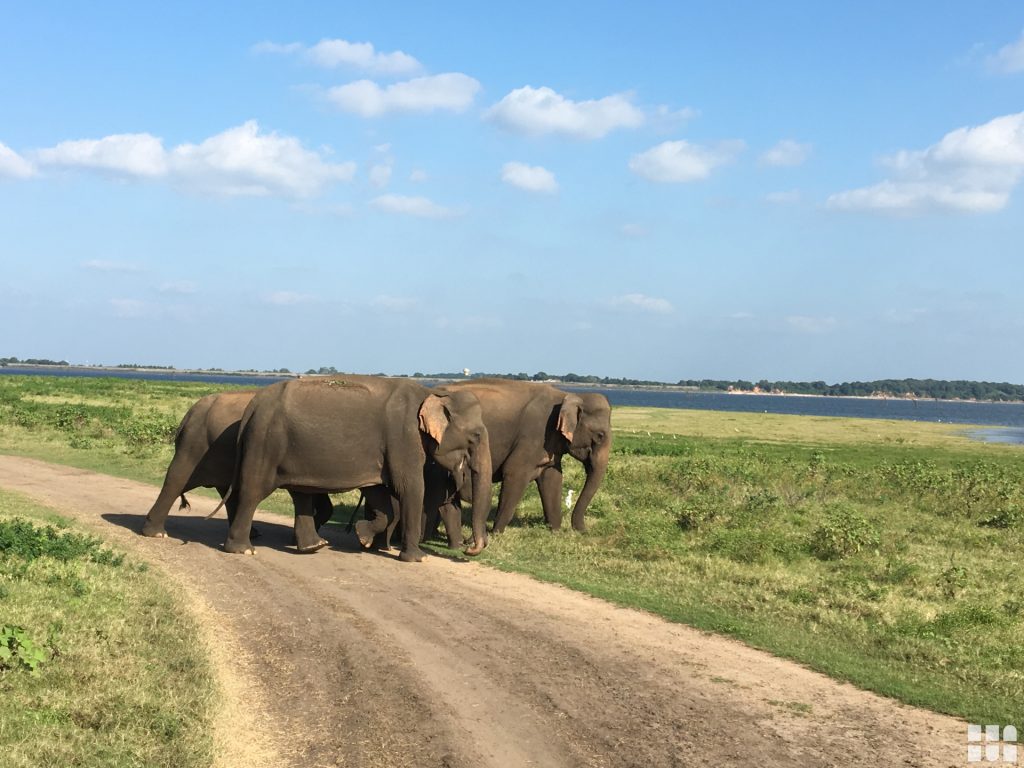 Reiseschnäppchen, Pauschalreisen, Urlaub &#038; Reiseschnäppchen günstig buchen